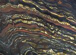 Polished Tiger Iron Stromatolite - ( Billion Years) #64014-1
